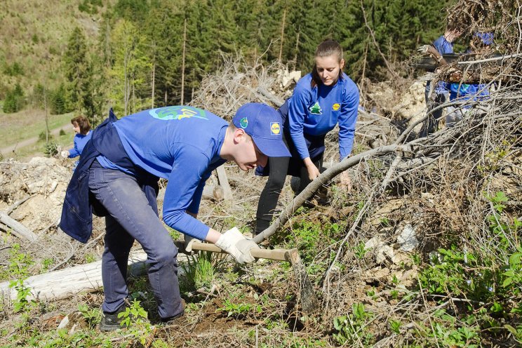 CSR tim v Lidl Lese vysadil uz 500 000 stromcekov